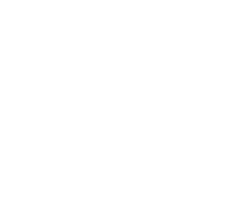 Sacher Logo